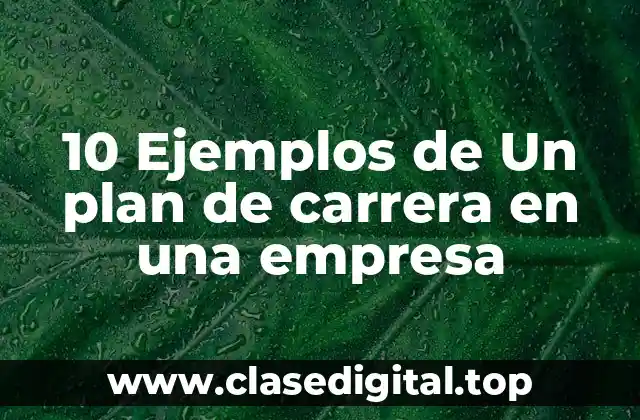 10 Ejemplos de Un plan de carrera en una empresa