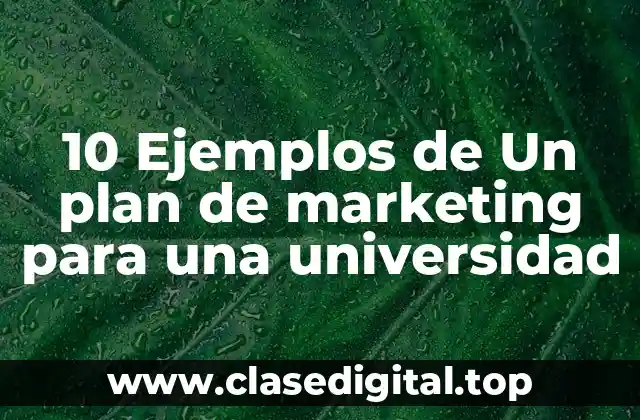 10 Ejemplos de Un plan de marketing para una universidad
