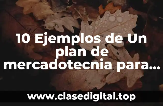 10 Ejemplos de Un plan de mercadotecnia para una empresa nueva