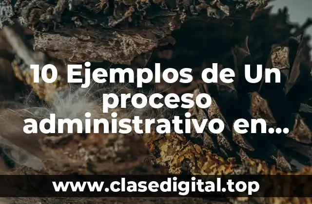 10 Ejemplos de Un proceso administrativo en una escuela