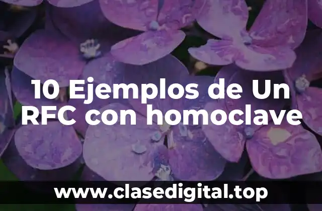 10 Ejemplos de Un RFC con homoclave