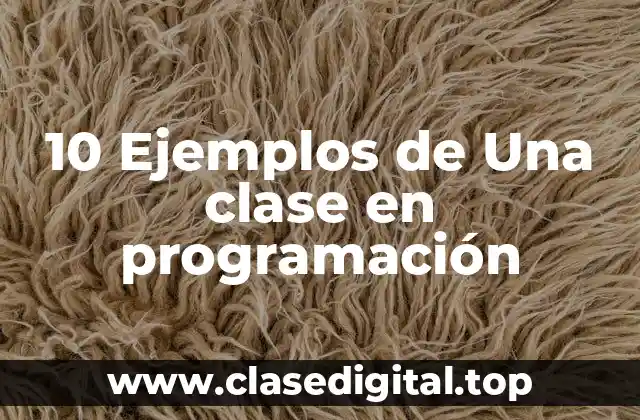 10 Ejemplos de Una clase en programación