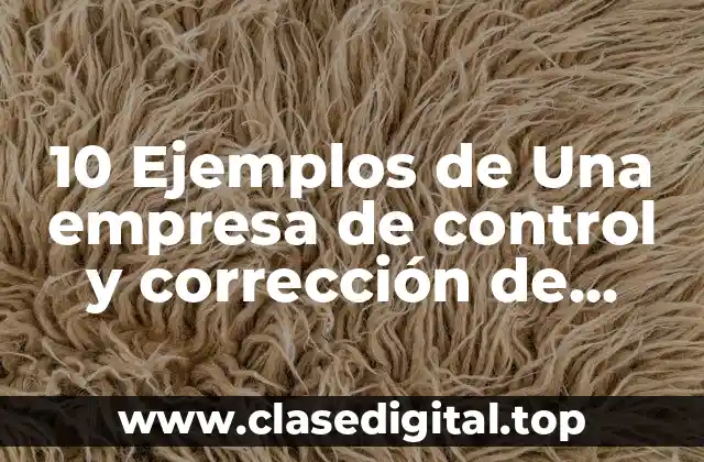 10 Ejemplos de Una empresa de control y corrección de riesgos