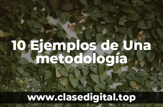 10 Ejemplos de Una metodología