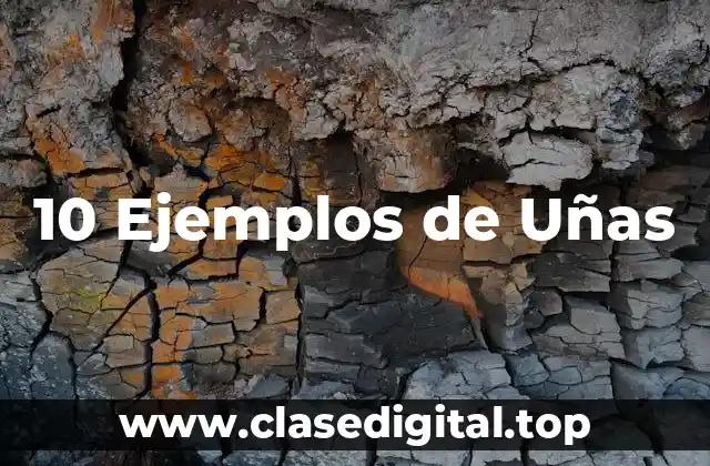 10 Ejemplos de Uñas