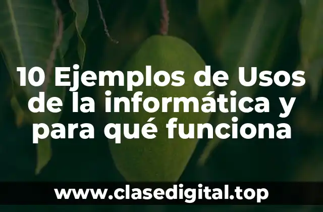 10 Ejemplos de Usos de la informática y para qué funciona