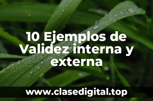 10 Ejemplos de Validez interna y externa