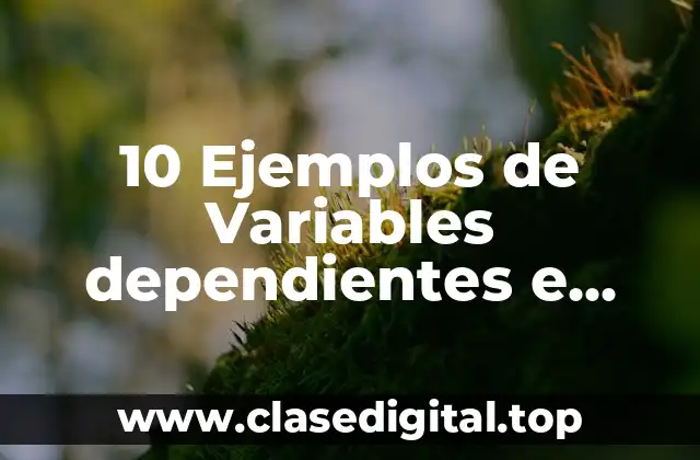 10 Ejemplos de Variables dependientes e independientes en la vida cotidiana