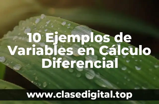10 Ejemplos de Variables en Cálculo Diferencial