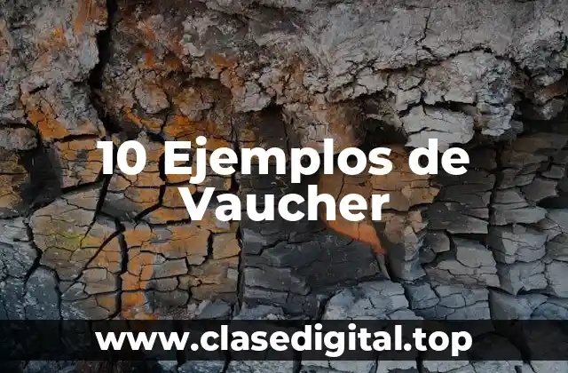 10 Ejemplos de Vaucher