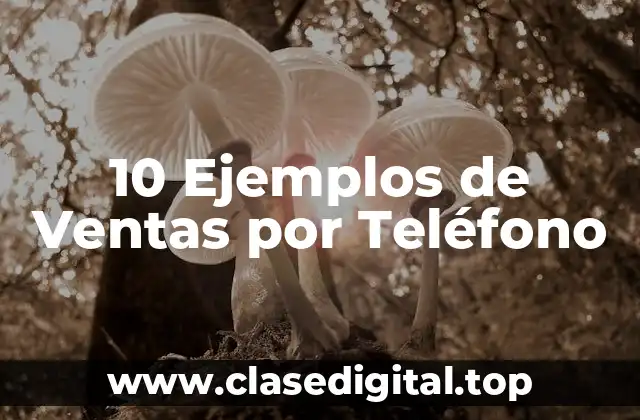 10 Ejemplos de Ventas por Teléfono