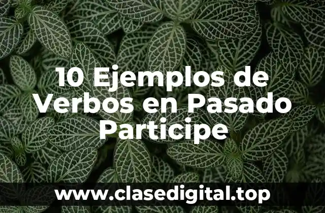 10 Ejemplos de Verbos en Pasado Participe