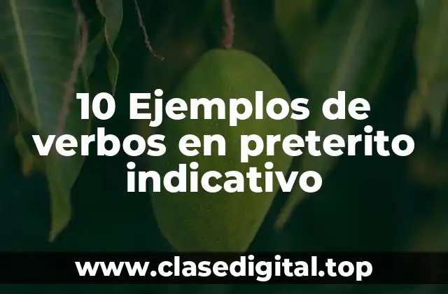 10 Ejemplos de verbos en preterito indicativo