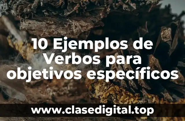 10 Ejemplos de Verbos para objetivos específicos