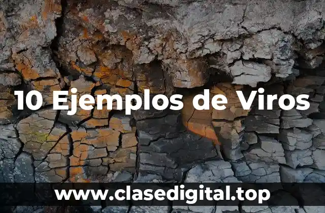 10 Ejemplos de Viros