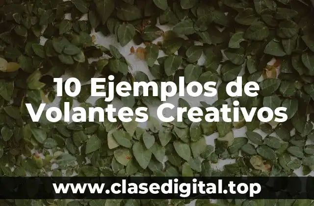 10 Ejemplos de Volantes Creativos