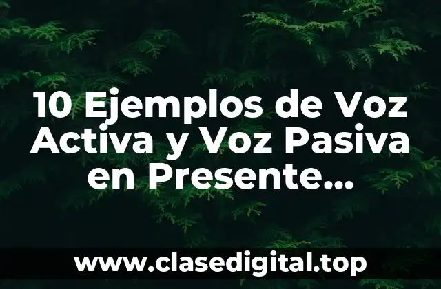 10 Ejemplos de Voz Activa y Voz Pasiva en Presente Perfecto
