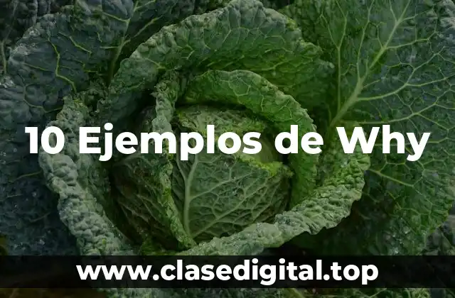 10 Ejemplos de Why