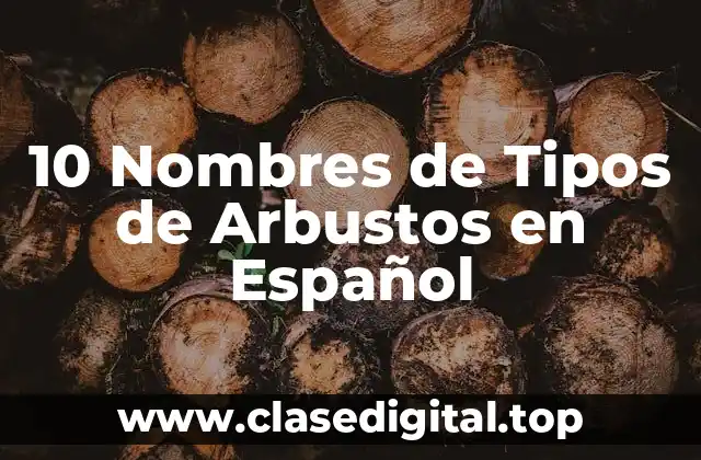 10 Nombres de Tipos de Arbustos en Español