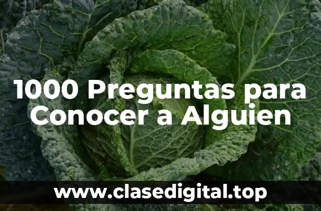 1000 Preguntas para Conocer a Alguien