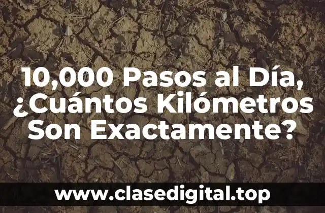 10,000 Pasos al Día, ¿Cuántos Kilómetros Son Exactamente?