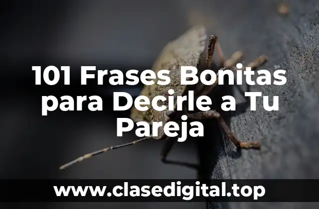 101 Frases Bonitas para Decirle a Tu Pareja
