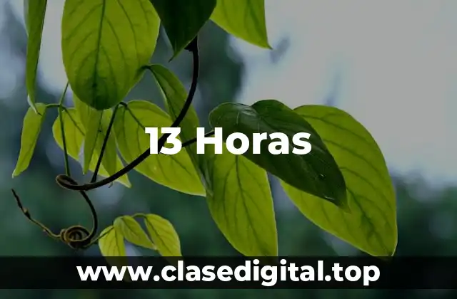 13 Horas