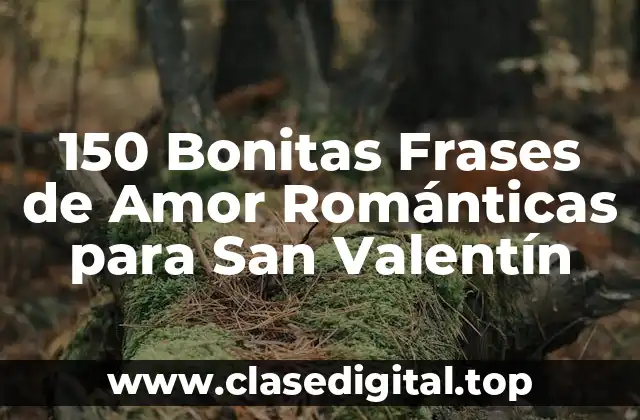 ¿Por qué son importantes las Frases de Amor en el Día de San Valentín?