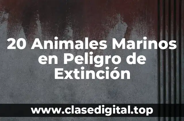 20 Animales Marinos en Peligro de Extinción