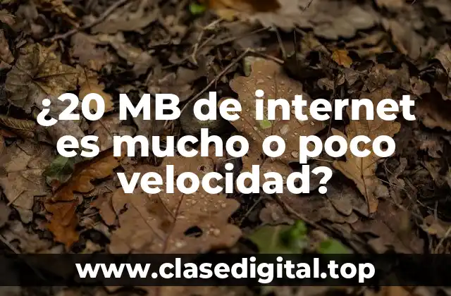 ¿20 MB de internet es mucho o poco velocidad?