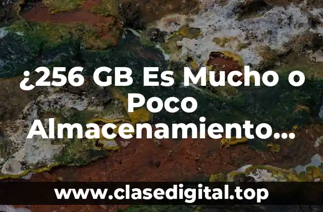 ¿256 GB Es Mucho o Poco Almacenamiento para un Dispositivo?