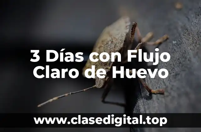 3 Días con Flujo Claro de Huevo