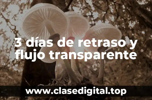 3 días de retraso y flujo transparente