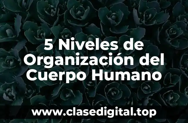 5 Niveles de Organización del Cuerpo Humano