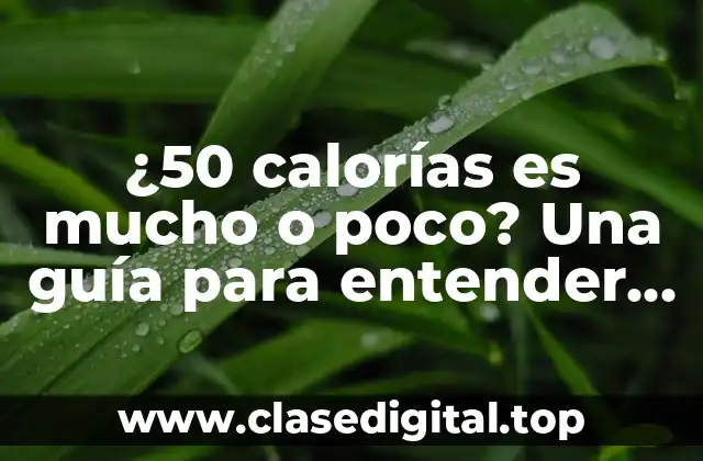 ¿50 calorías es mucho o poco? Una guía para entender las necesidades calóricas