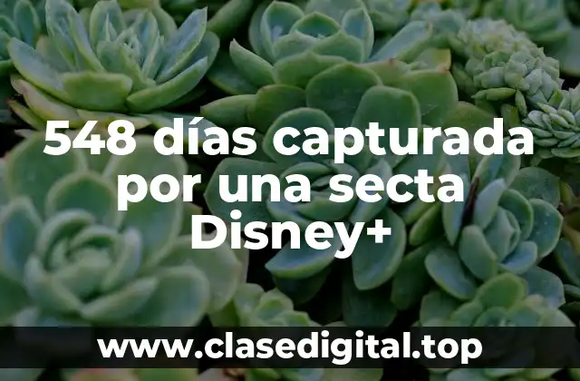 ¿Qué es una secta y cómo se forma?