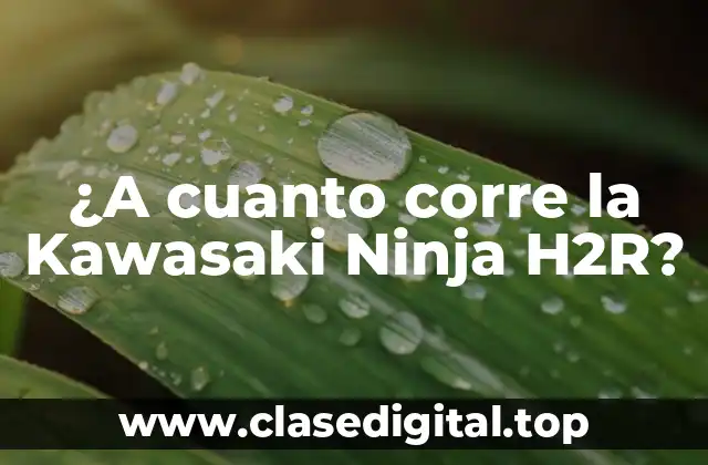 Características técnicas de la Kawasaki Ninja H2R - Un motor de 998 cc y 326 CV