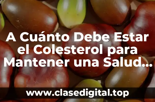 ¿Qué son los Niveles de Colesterol y Cómo se Miden?