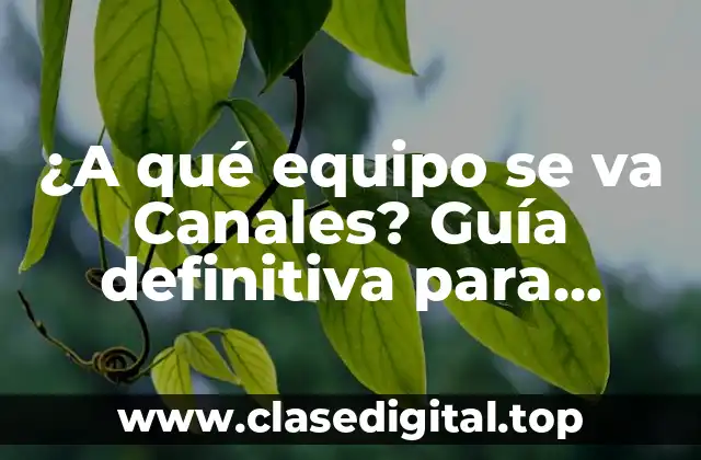 ¿A qué equipo se va Canales? Guía definitiva para entender el proceso de migración