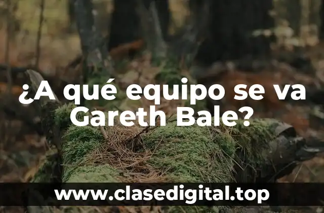 ¿A qué equipo se va Gareth Bale?