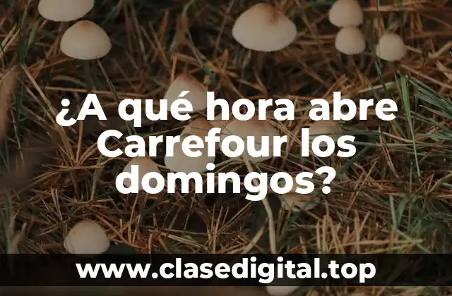 ¿A qué hora abre Carrefour los domingos?