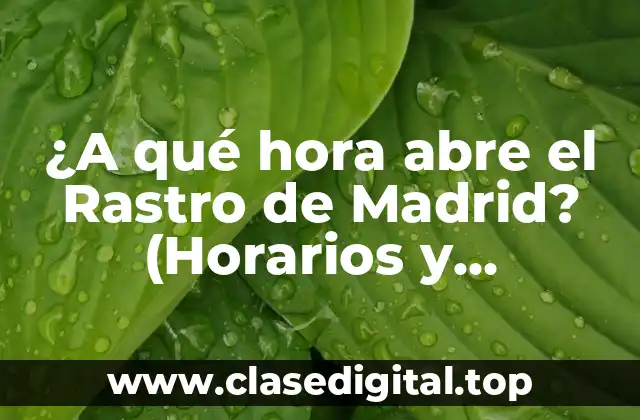 ¿A qué hora abre el Rastro de Madrid? (Horarios y información práctica)