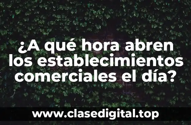 ¿A qué hora abren los establecimientos comerciales el día?