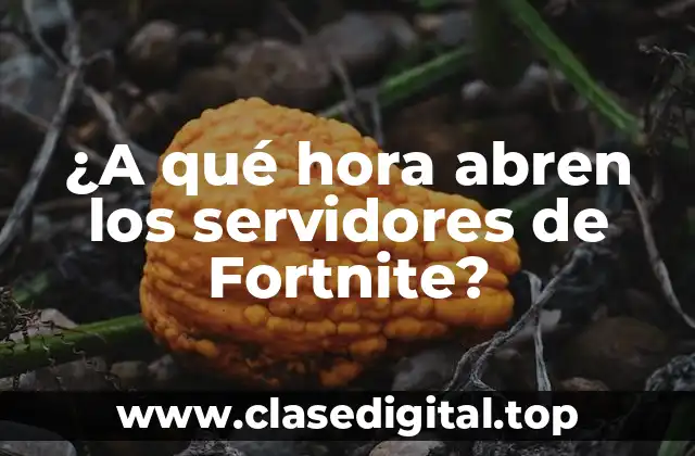 ¿A qué hora abren los servidores de Fortnite?