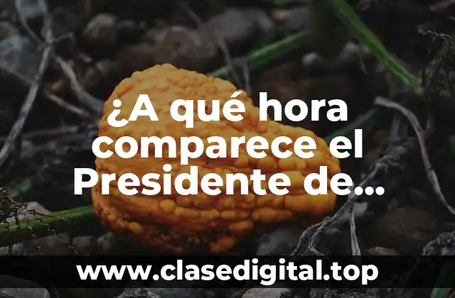 La historia de la comparecencia del Presidente de España