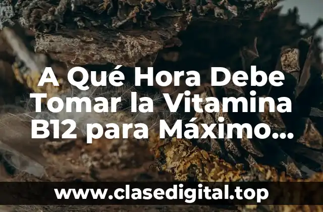 A Qué Hora Debe Tomar la Vitamina B12 para Máximo Beneficio