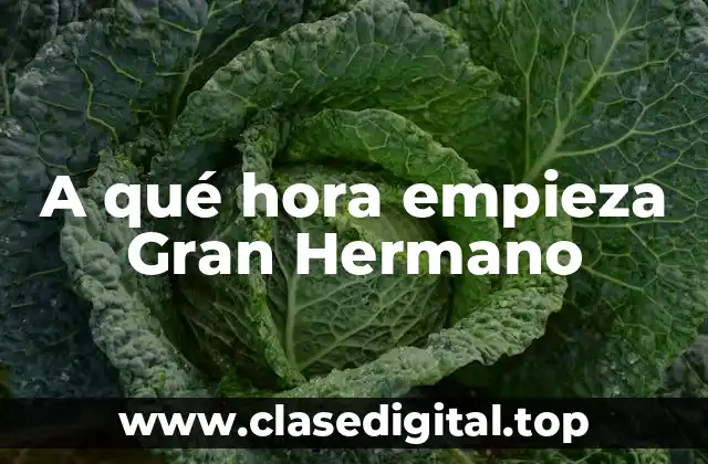 Orígenes de Gran Hermano: La creación de un fenómeno televisivo