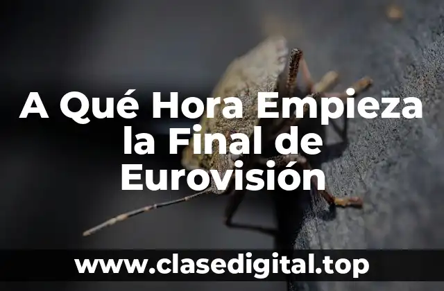 A Qué Hora Empieza la Final de Eurovisión