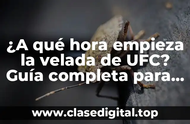 ¿A qué hora empieza la velada de UFC? Guía completa para no perderse ningún evento