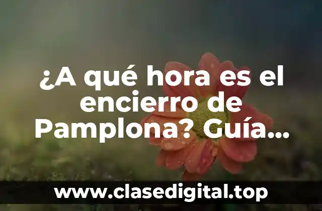 ¿A qué hora es el encierro de Pamplona? Guía definitiva